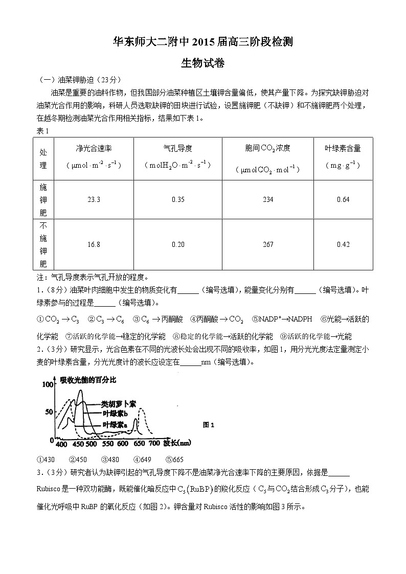上海市浦东新区华东师范大学第二附属中学2024-2025学年高三上学期第一次月考生物试题第1页