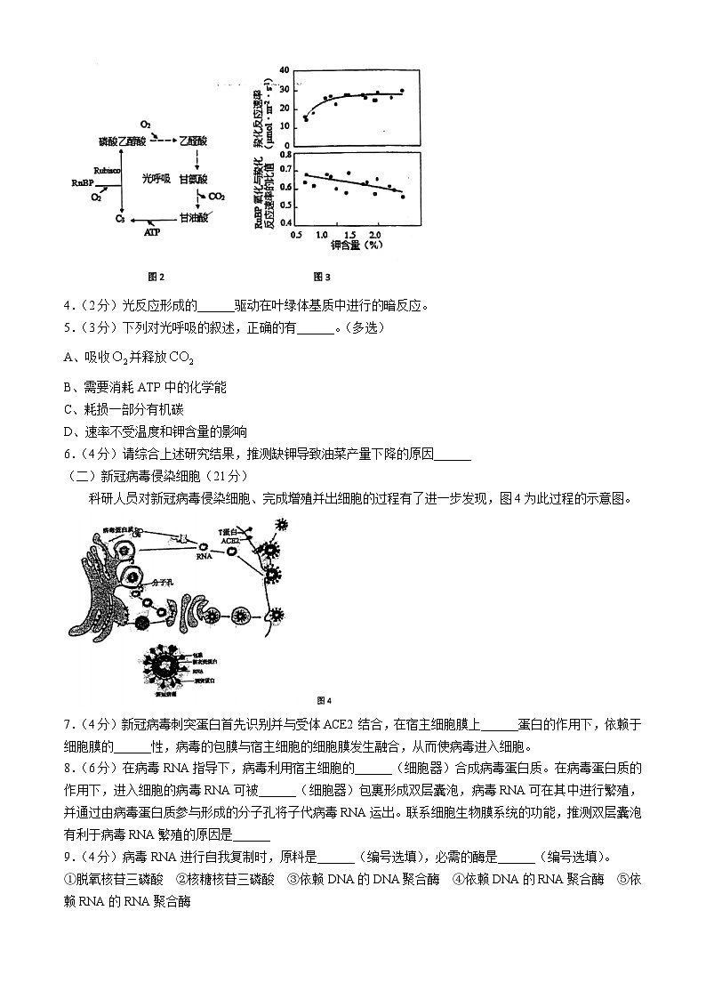 上海市浦东新区华东师范大学第二附属中学2024-2025学年高三上学期第一次月考生物试题第2页