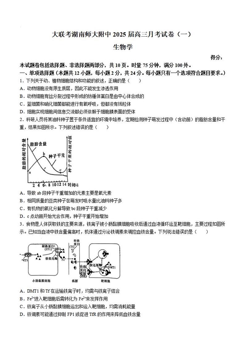 生物-湖南师大附中2024-2025学年高三上学期月考(一)01