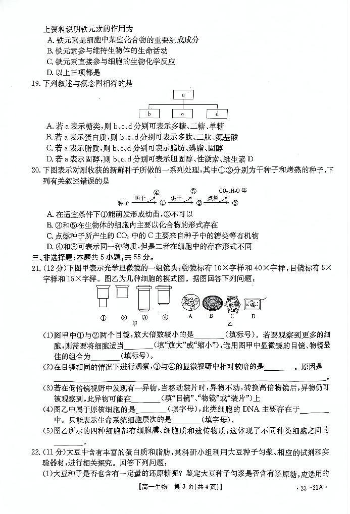 2022-2023学年(金太阳大联考)河南创新联盟高一上学期第一次模拟选科生物试卷及答案第3页