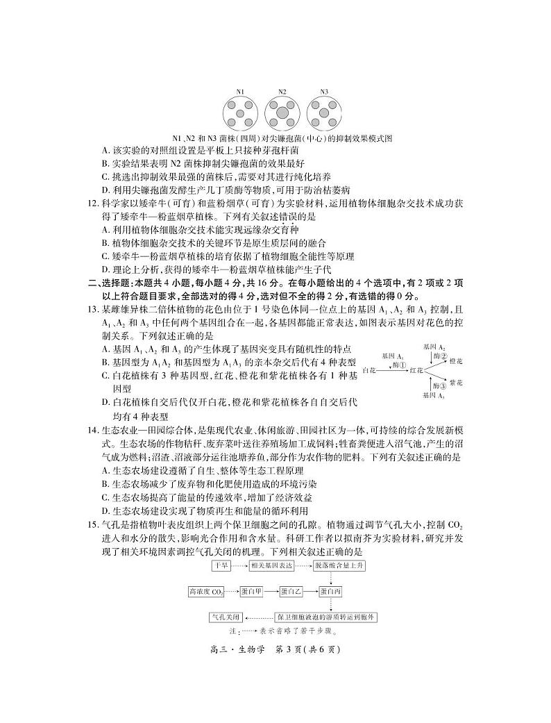 江西省部分学校2024-2025学年高三上学期入学摸底考试生物试题第3页