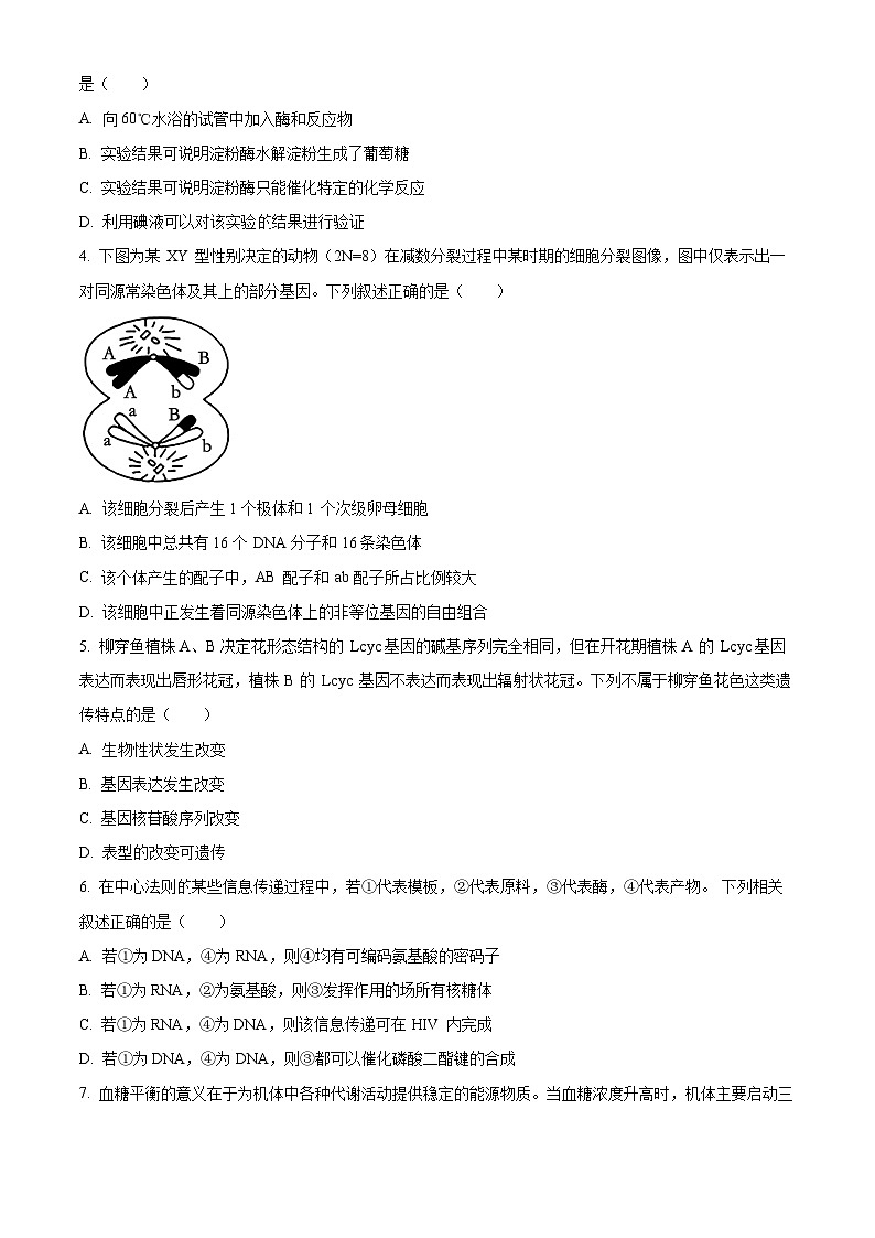 江西省部分学校2024-2025学年高三上学期入学摸底考试生物试题(原卷版)第2页