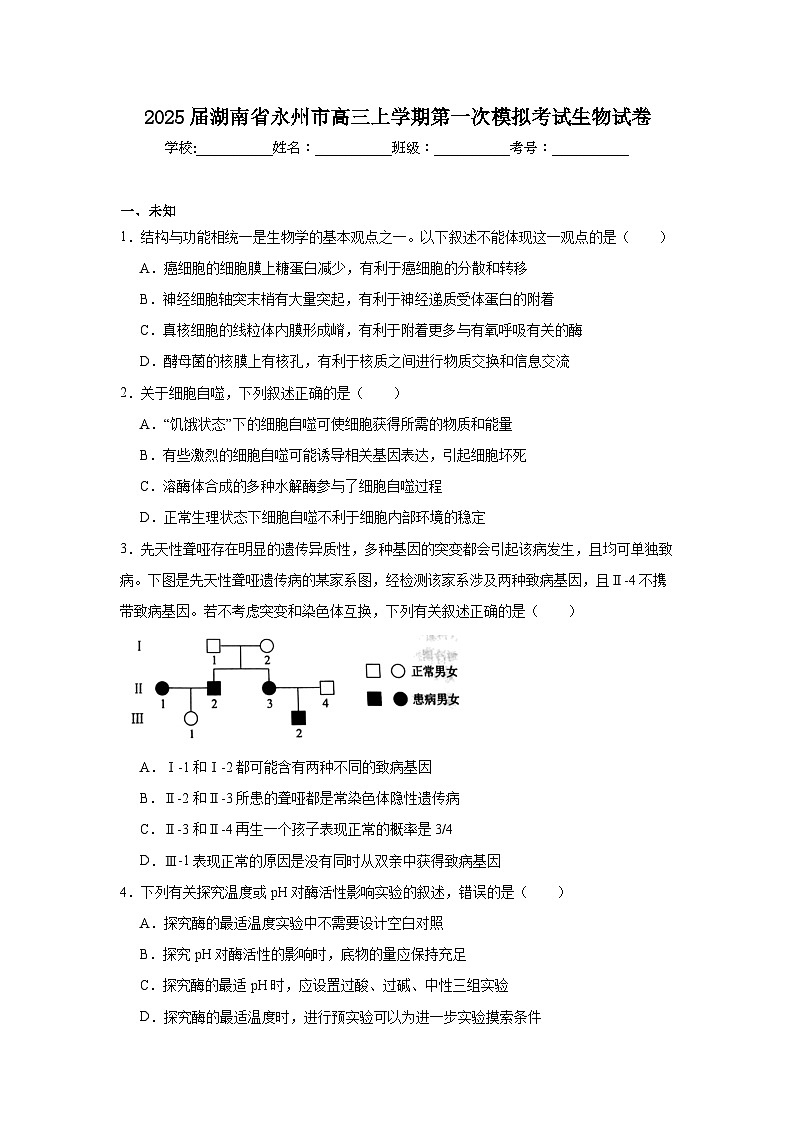 2025届湖南省永州市高三上学期第一次模拟考试生物试卷第1页