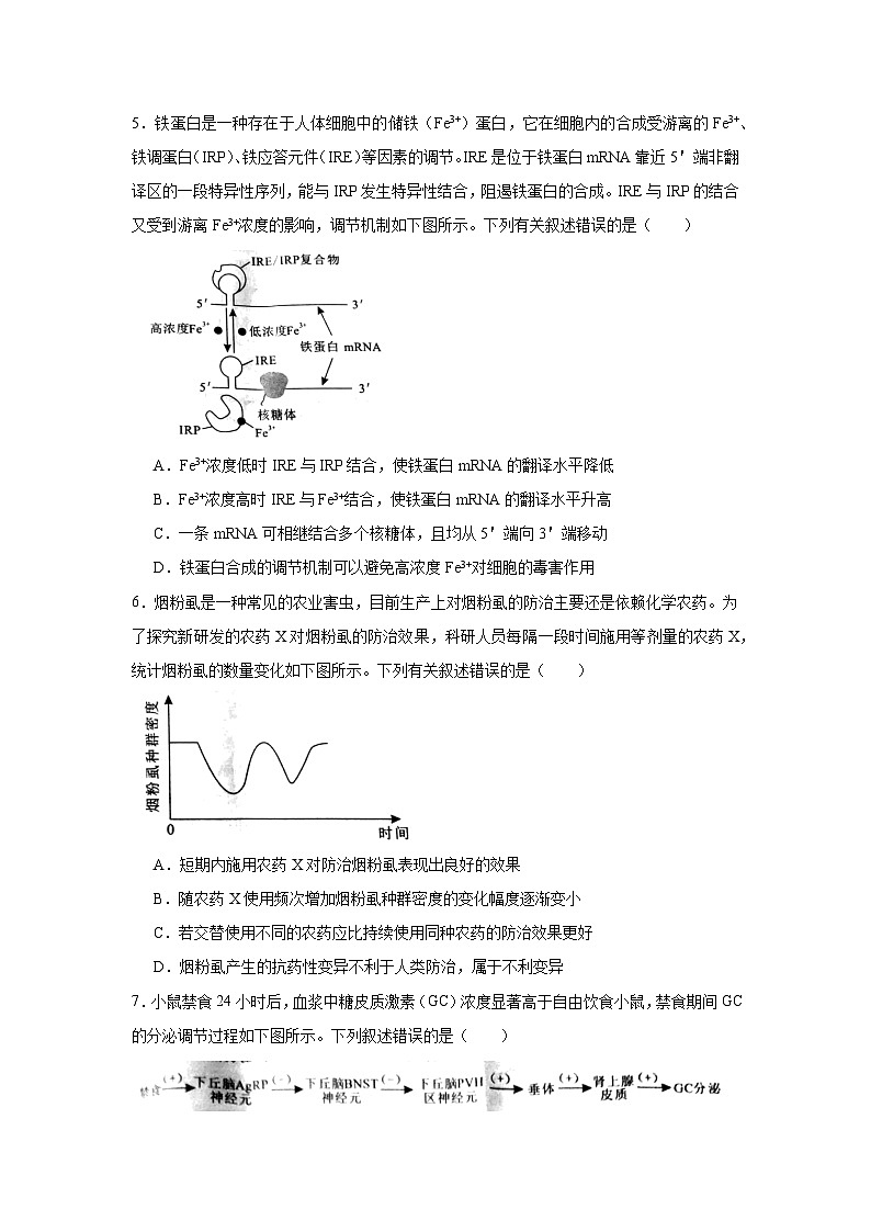 2025届湖南省永州市高三上学期第一次模拟考试生物试卷第2页