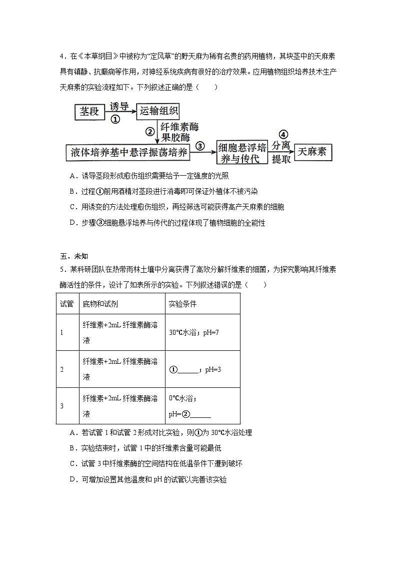 广西壮族自治区南宁市2024—2025学年高三上学期摸底考试生物试题第2页