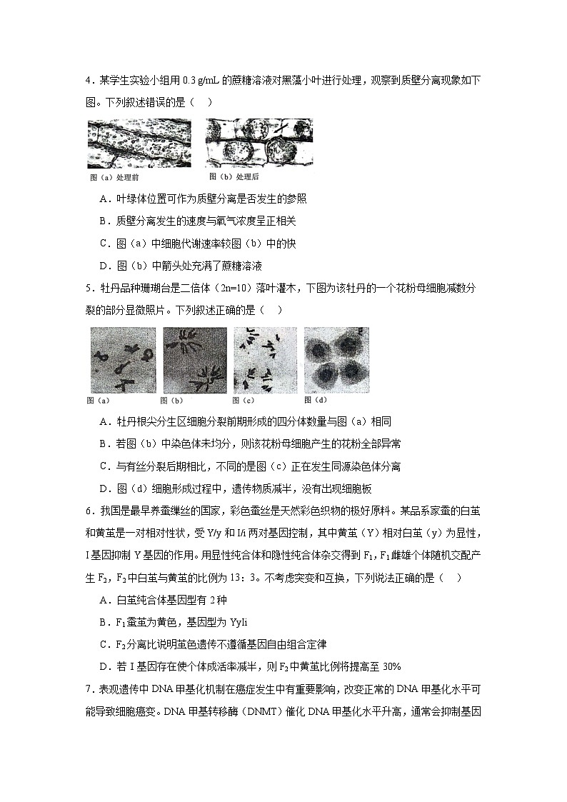 陕西省2024-2025学年高三上学期普通高中学业水平选择性考试生物模拟试题02