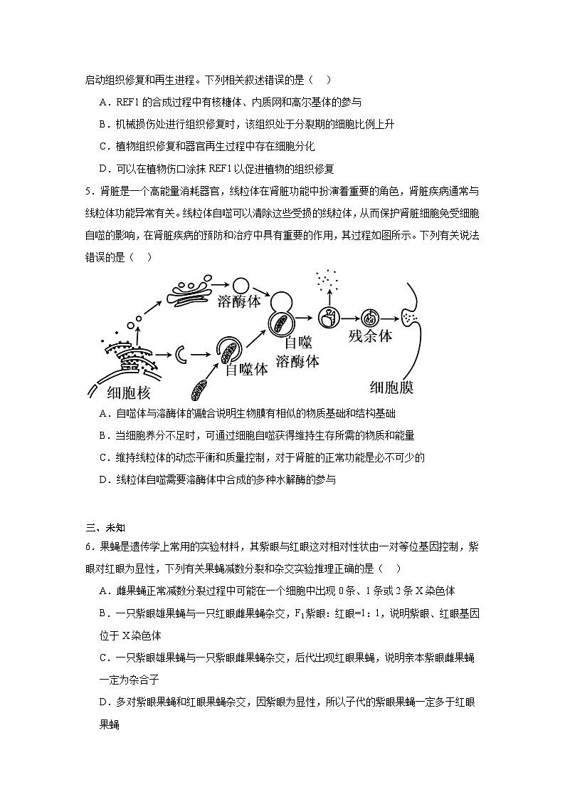 四川省巴中市2024-2025学年高三上学期““零诊”考试生物试题第2页