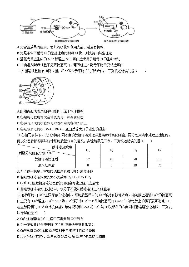 湖北省黄冈市2025届高三9月调研考试(一模)生物试题(无答案)第3页