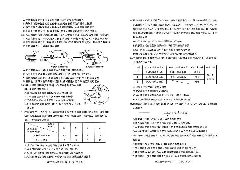 湖北省黄冈市2024年高三年级9月调研考试 生物第2页
