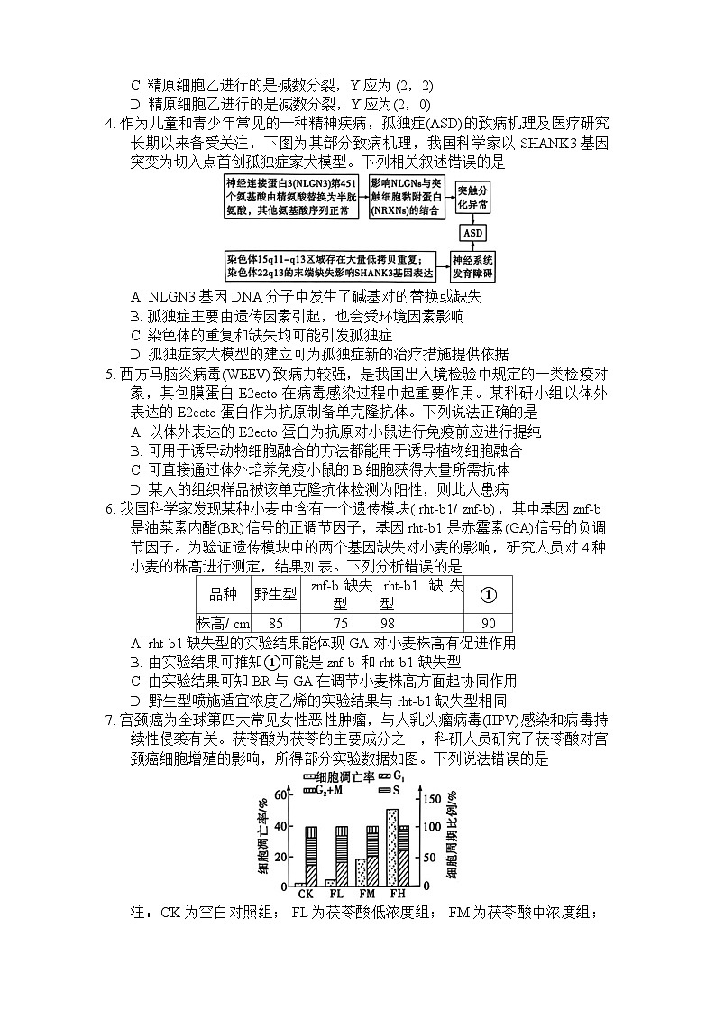 湖南省长沙市长郡中学2024-2025学年高三上学期调研考试(一)生物试题(Word版附答案)02