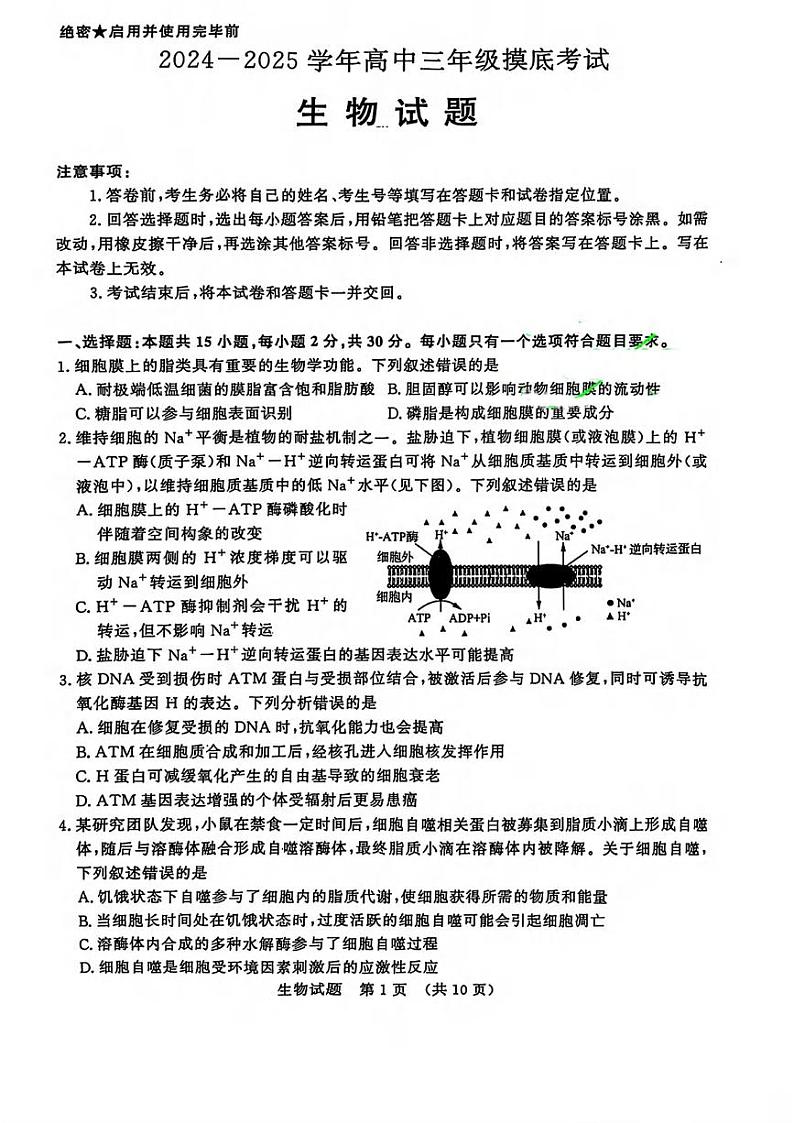 生物丨山东省济南市2025届高三九月摸底考试(暨开学考)生物试卷及答案01