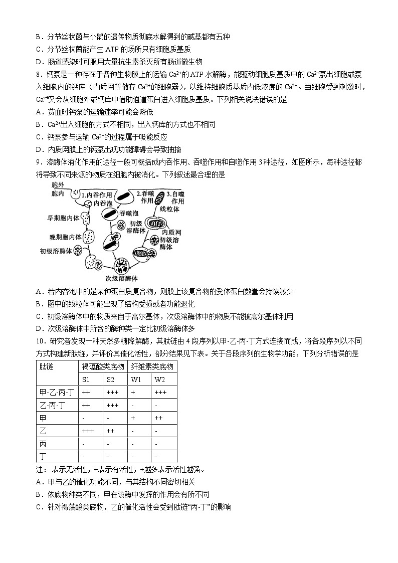 重庆市渝中区巴蜀中学校2024-2025学年高三上学期9月月考生物试题(无答案)第3页