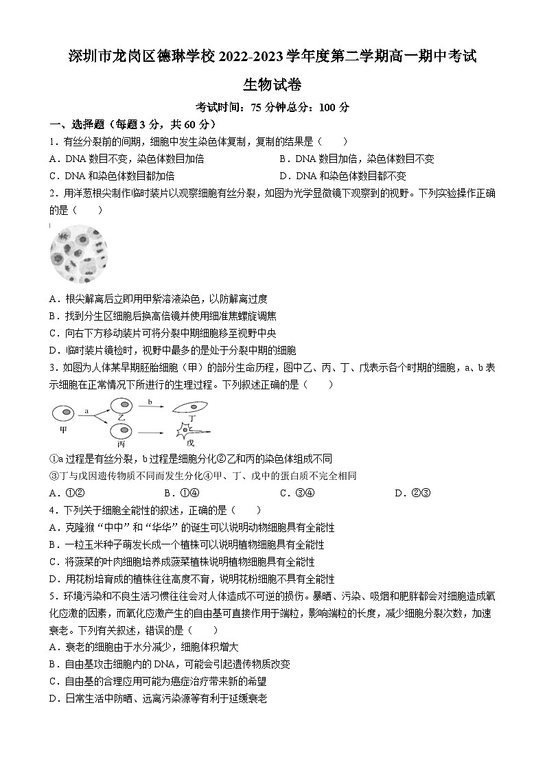 广东省深圳市龙岗区德琳学校2022-2023学年高一下学期期中考试生物试题(无答案)第1页