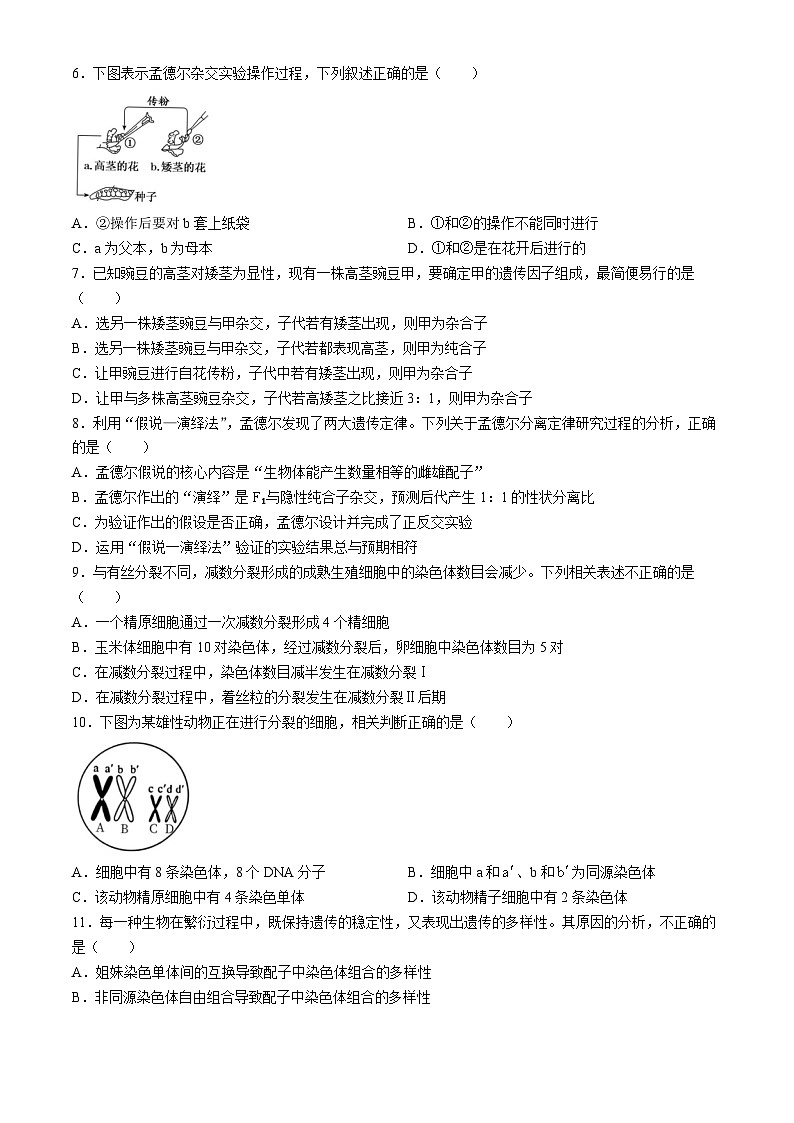 广东省深圳市龙岗区德琳学校2022-2023学年高一下学期期中考试生物试题(无答案)第2页