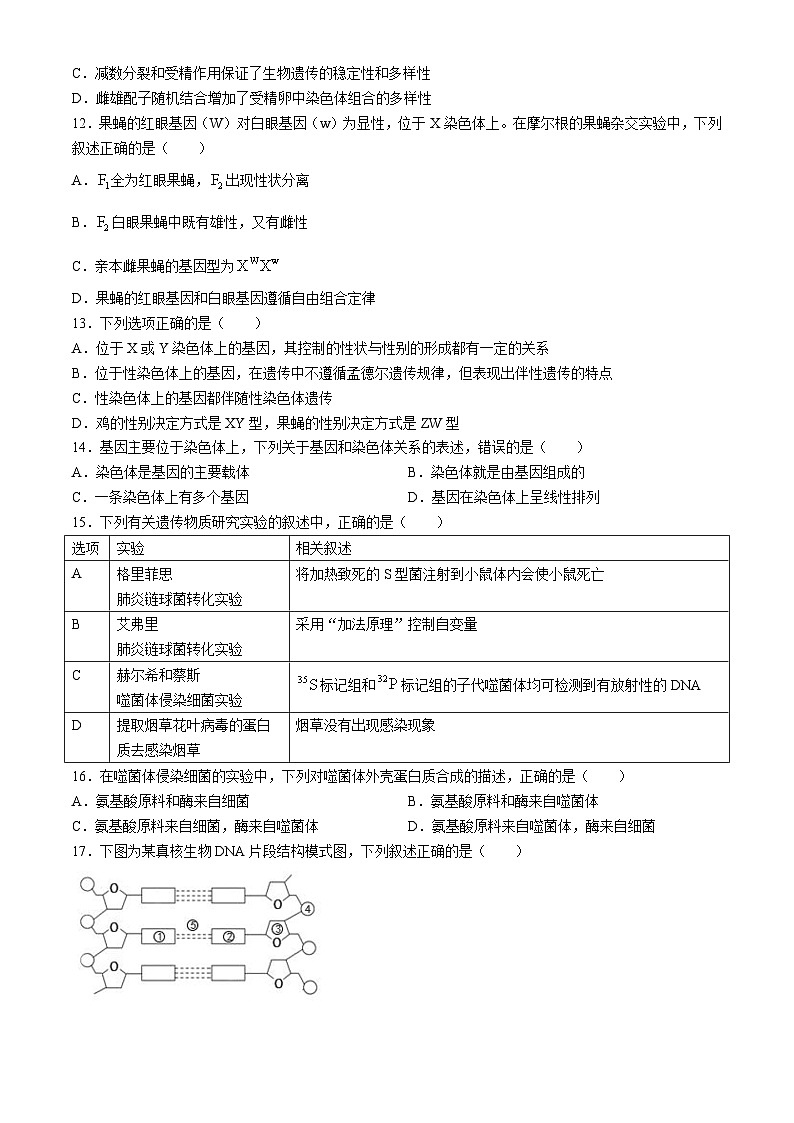 广东省深圳市龙岗区德琳学校2022-2023学年高一下学期期中考试生物试题(无答案)第3页