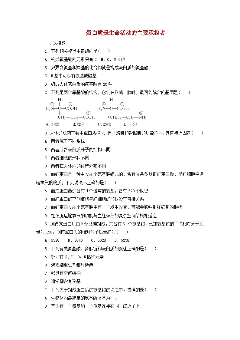 人教版高一生物必修第一冊課后練習卷：蛋白質(zhì)是生命活動的主要承擔者第1頁
