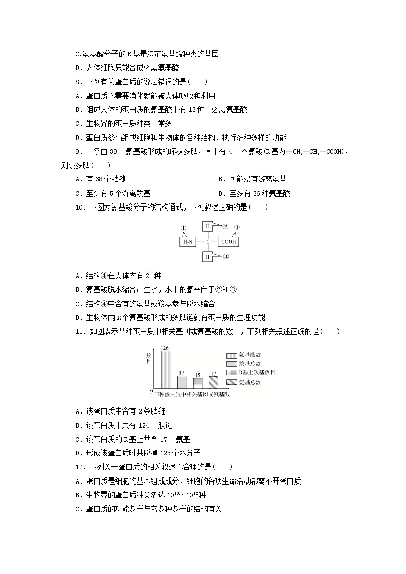 人教版高一生物必修第一冊課后練習卷：蛋白質(zhì)是生命活動的主要承擔者第2頁