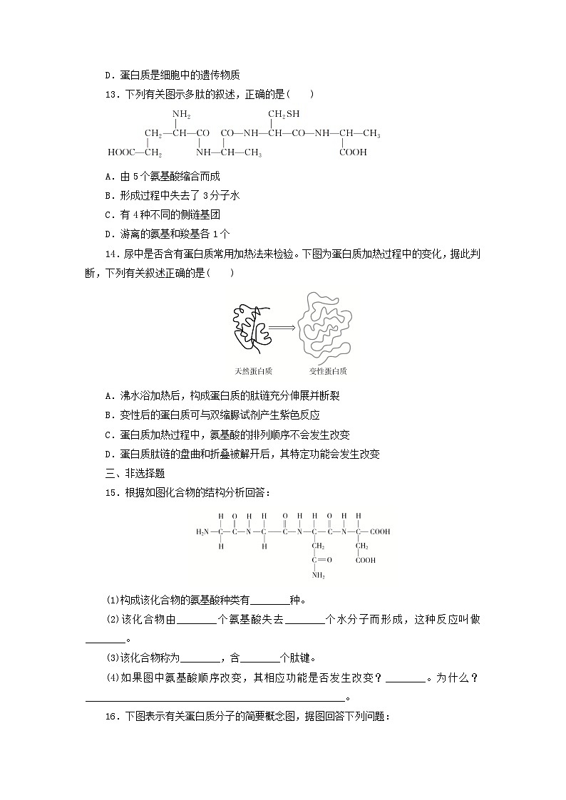 人教版高一生物必修第一冊課后練習卷：蛋白質(zhì)是生命活動的主要承擔者第3頁