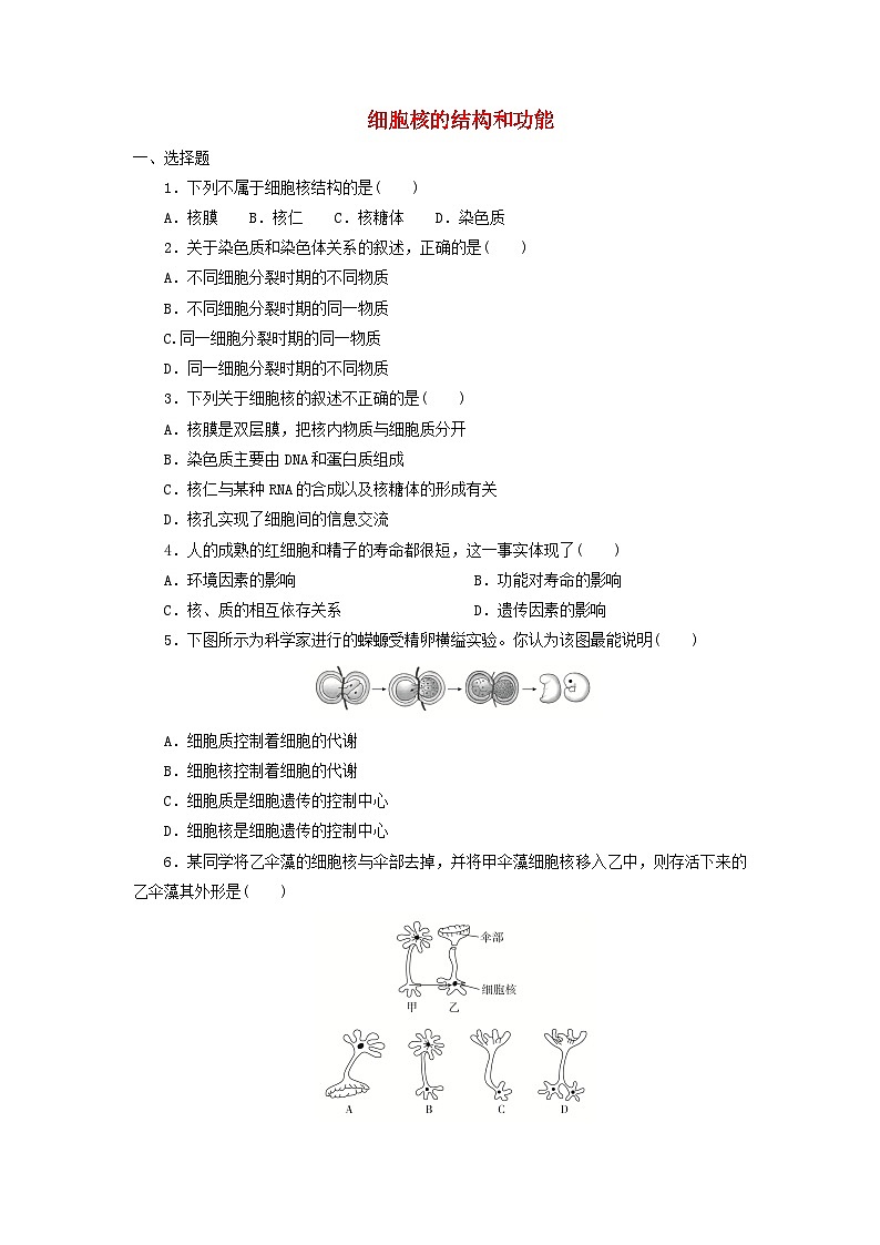 人教版高一生物必修第一册课后练习卷:细胞核的结构和功能第1页
