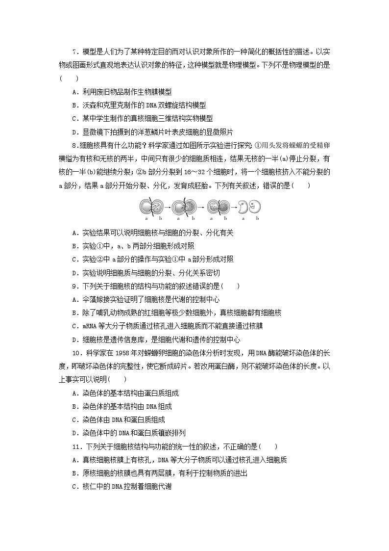 人教版高一生物必修第一册课后练习卷:细胞核的结构和功能第2页
