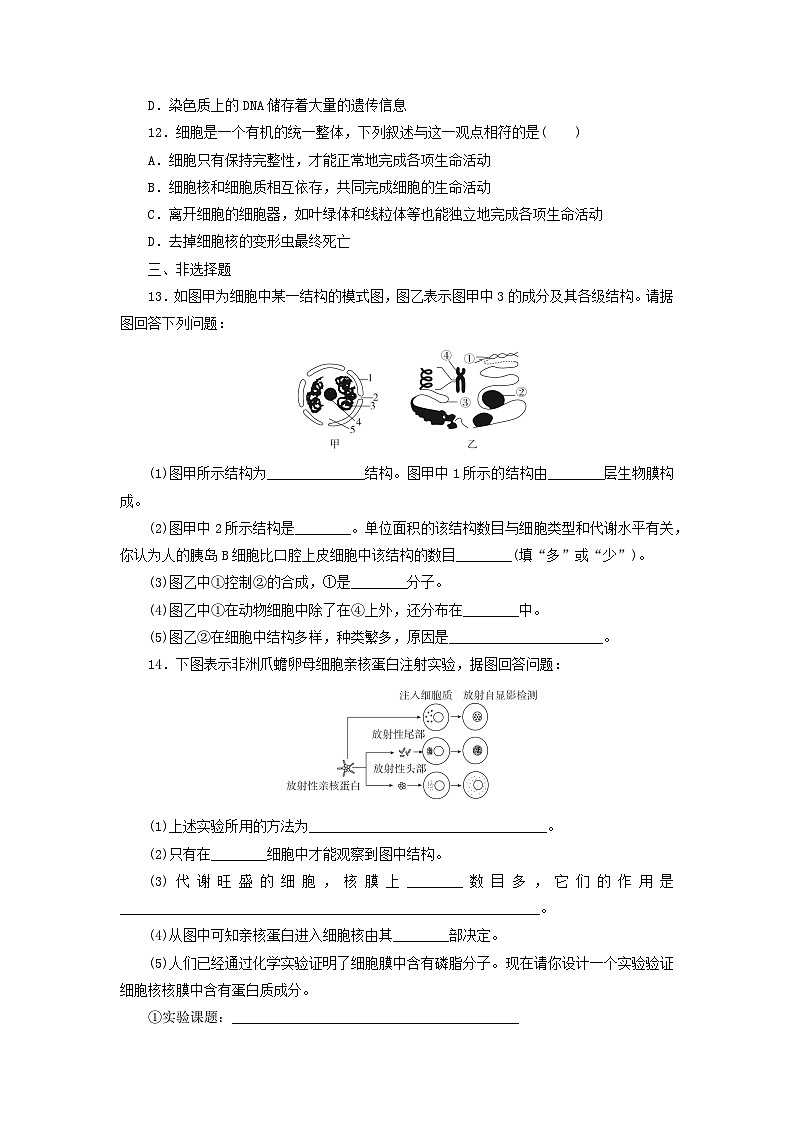 人教版高一生物必修第一册课后练习卷:细胞核的结构和功能第3页