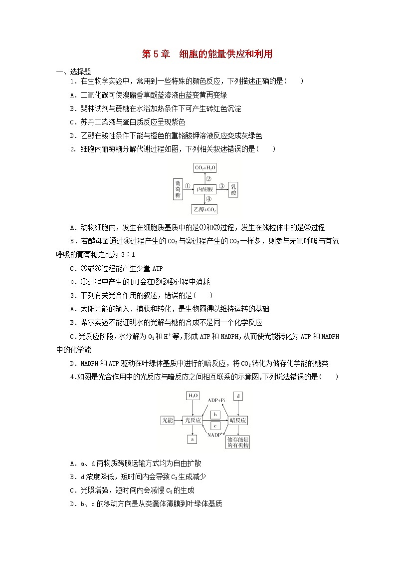 人教版高一生物必修第一册课后练习卷:第5章 细胞的能量供应和利用01
