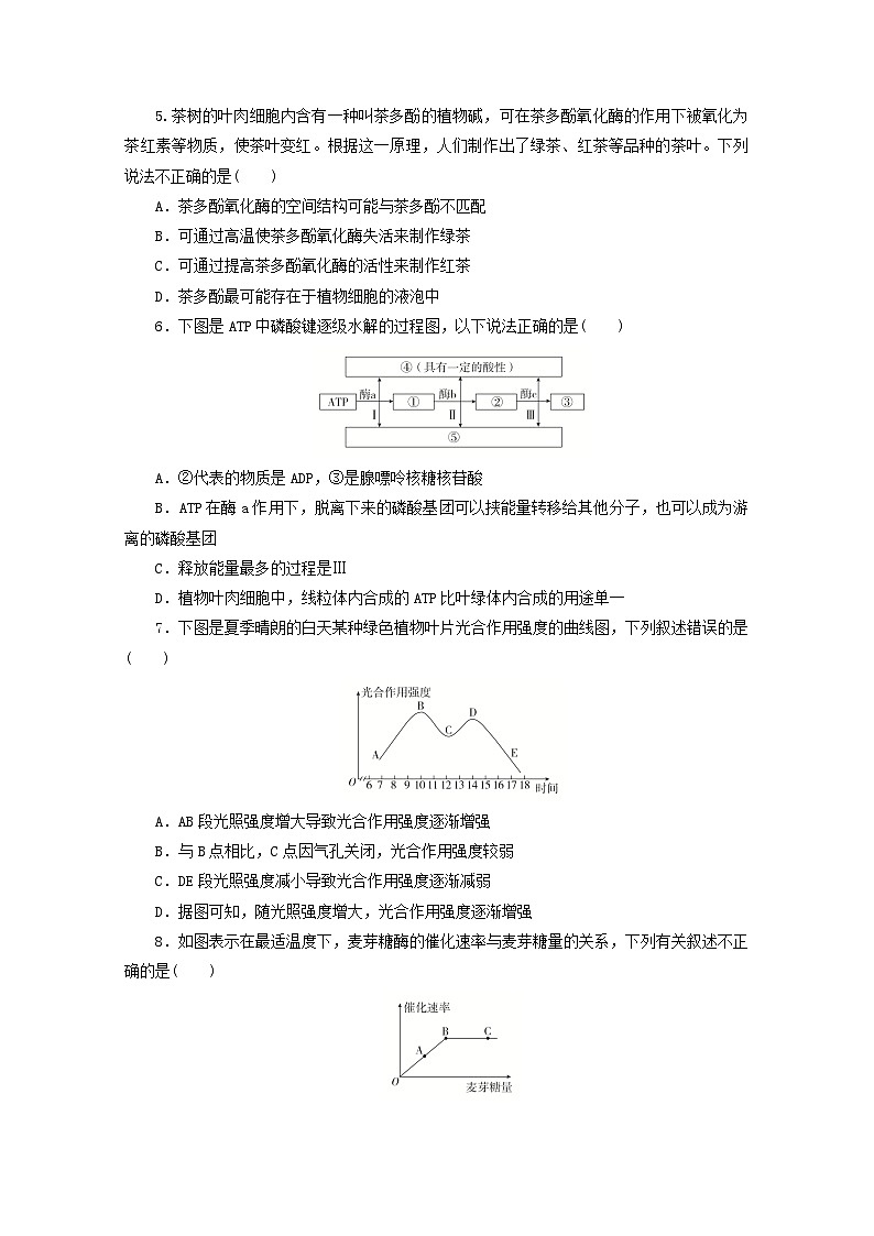人教版高一生物必修第一册课后练习卷:第5章 细胞的能量供应和利用02