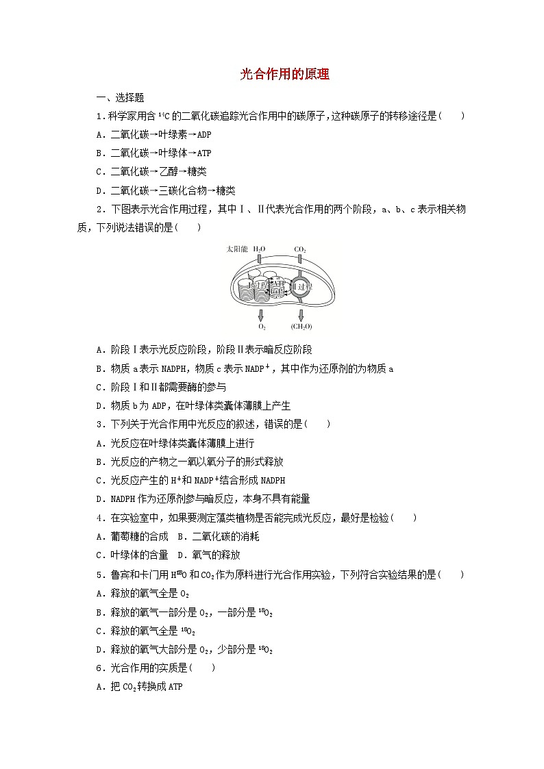 人教版高一生物必修第一册课后练习卷:5.4.2光合作用的原理01