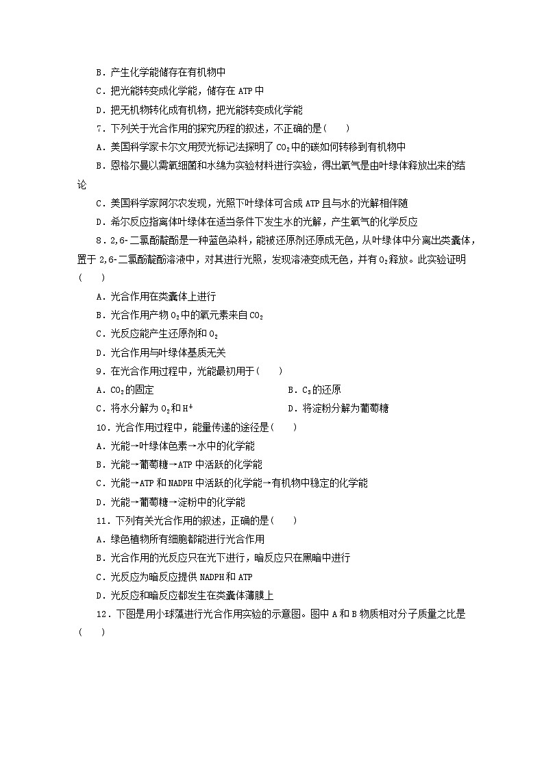 人教版高一生物必修第一册课后练习卷:5.4.2光合作用的原理02