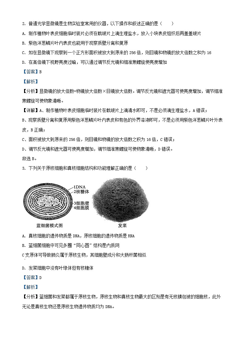 安徽省2023_2024学年高一生物上学期12月分科诊断模拟考试试题含解析第2页