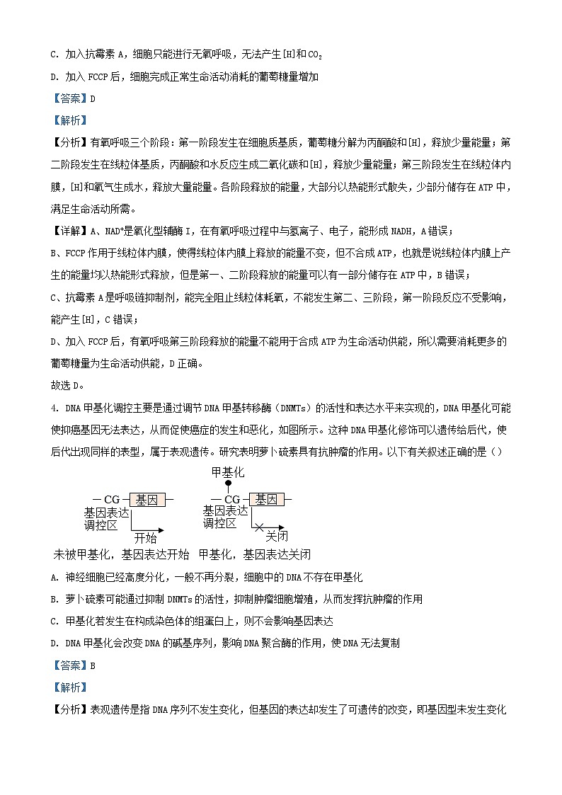 安徽省六安市2023_2024学年高三生物上学期第五次月考试题含解析第3页