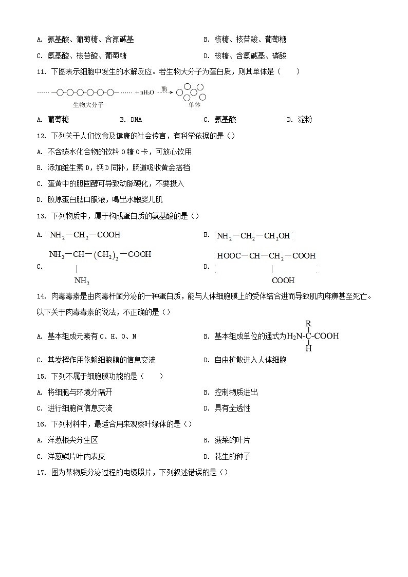 北京市顺义区2023_2024学年高一生物上学期12月月考试题含解析第2页