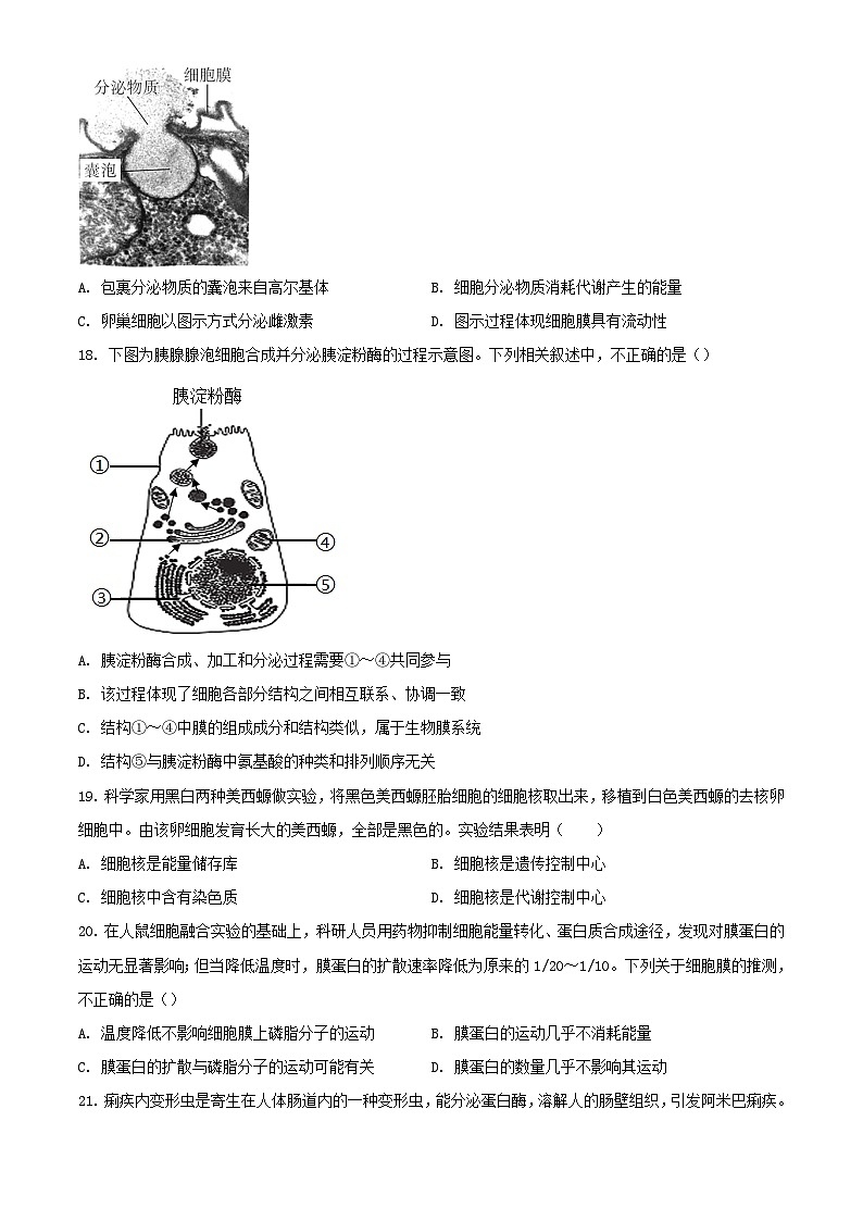 北京市顺义区2023_2024学年高一生物上学期12月月考试题含解析第3页