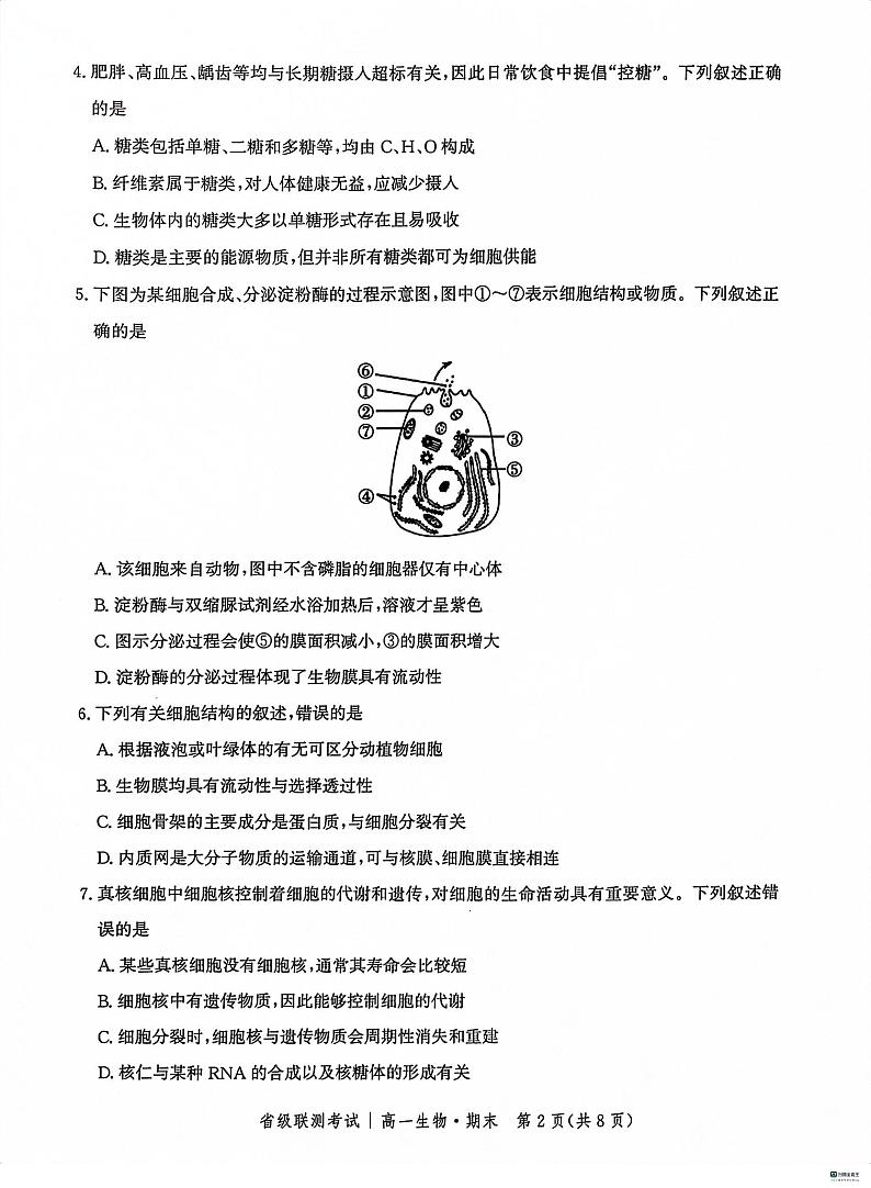 河北省沧州市泊头市2023_2024学年高一生物上学期期末考试pdf第2页