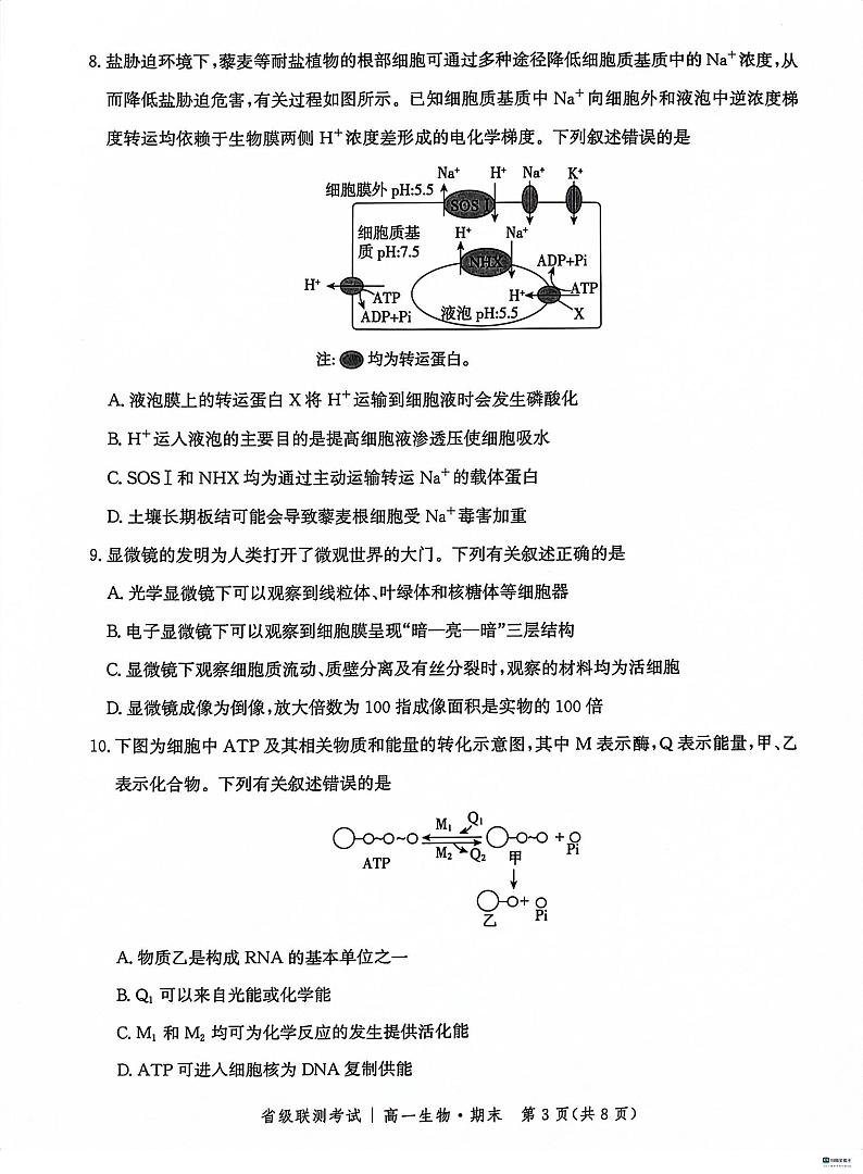 河北省沧州市泊头市2023_2024学年高一生物上学期期末考试pdf第3页