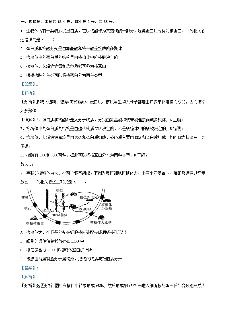 湖北省武汉市2023_2024学年高三生物下学期1月月考试题含解析