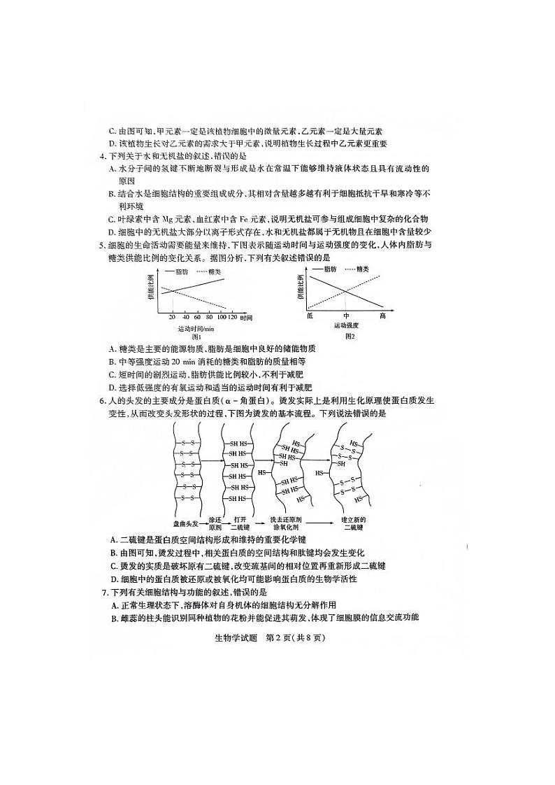 安徽省部分地区大联考2023_2024学年高一生物上学期12月月考试题pdf第2页