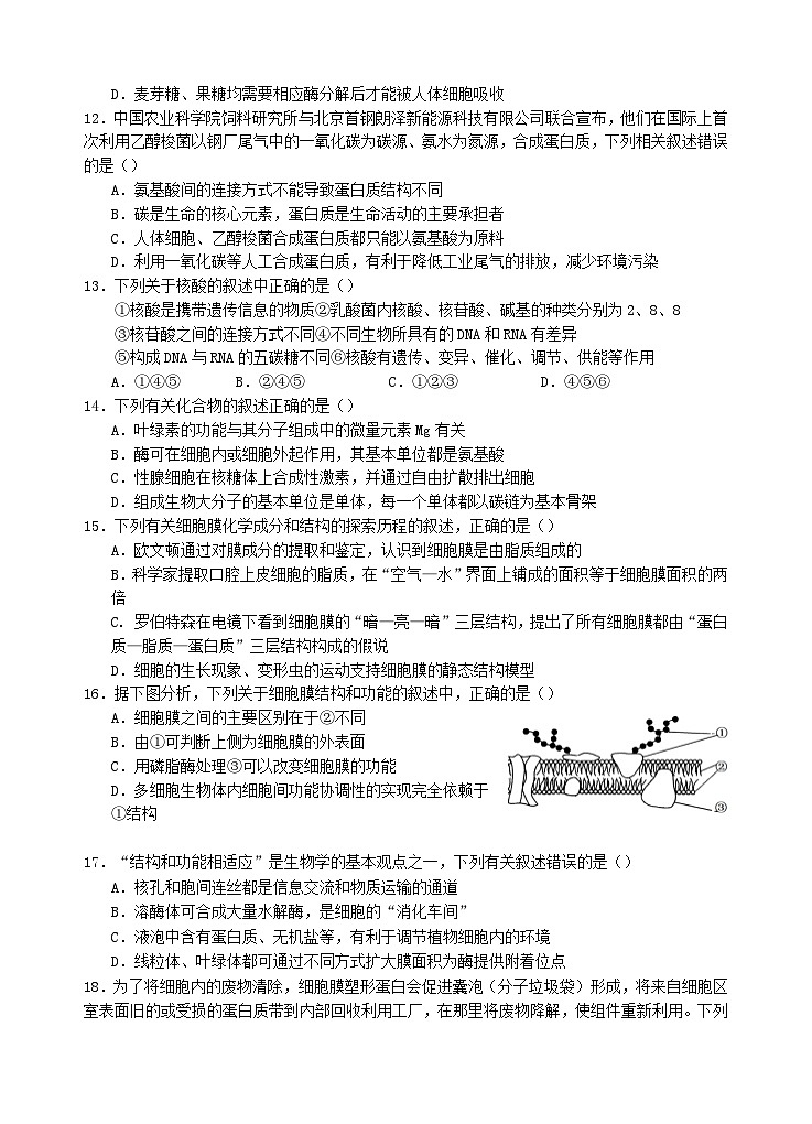 四川省2023_2024学年高一生物上学期第三次月考试题03