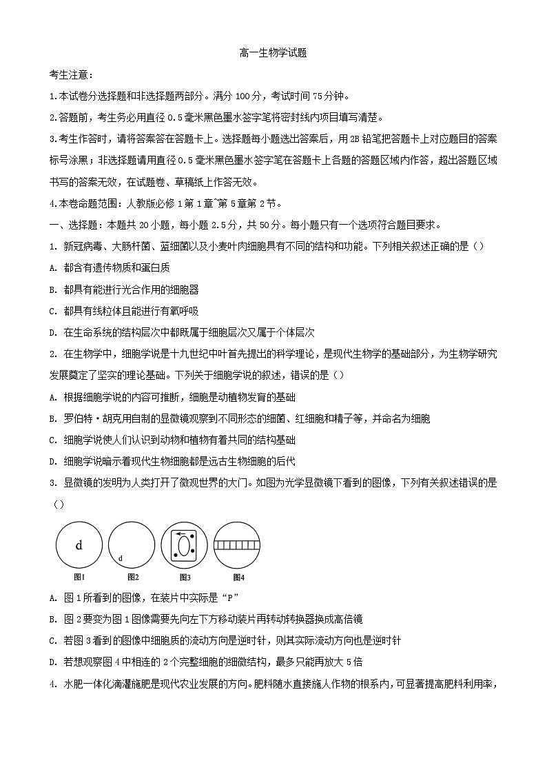 河南省新乡市2023_2024学年高一生物上学期12月月考试题含解析第1页