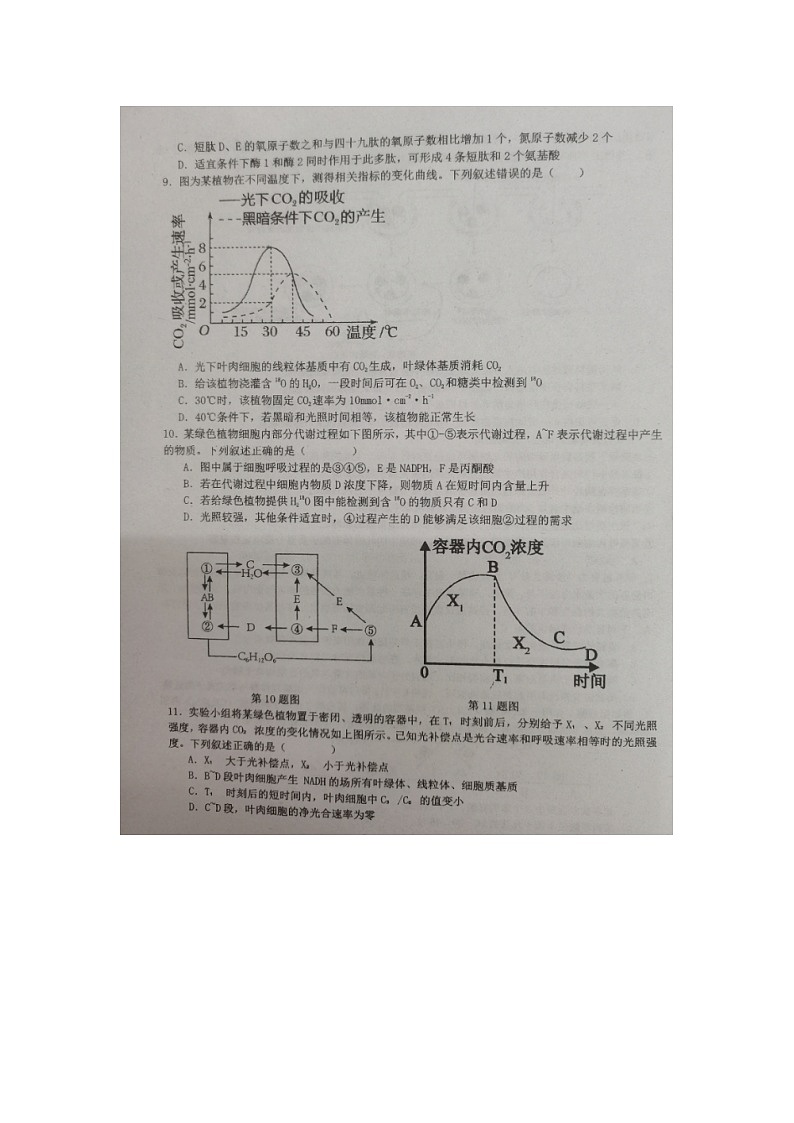海南省农垦中学2024-2025学年高三上学期第一次月考生物试题03