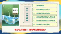 1.1 细胞是生命活动的基本单位-2024-2025学年高一生物同步课件（人教版2019必修1）