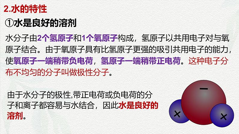 2.2 细胞中的无机物-2024-2025学年高一生物同步课件(人教版2019必修1)06