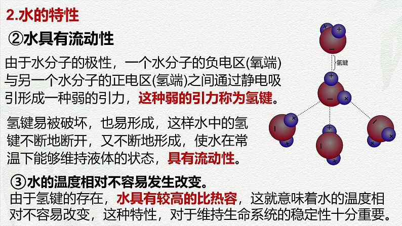 2.2 细胞中的无机物-2024-2025学年高一生物同步课件(人教版2019必修1)07