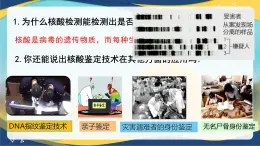 2.5 核酸是遗传信息的携带者-2024-2025学年高一生物同步课件（人教版2019必修1）