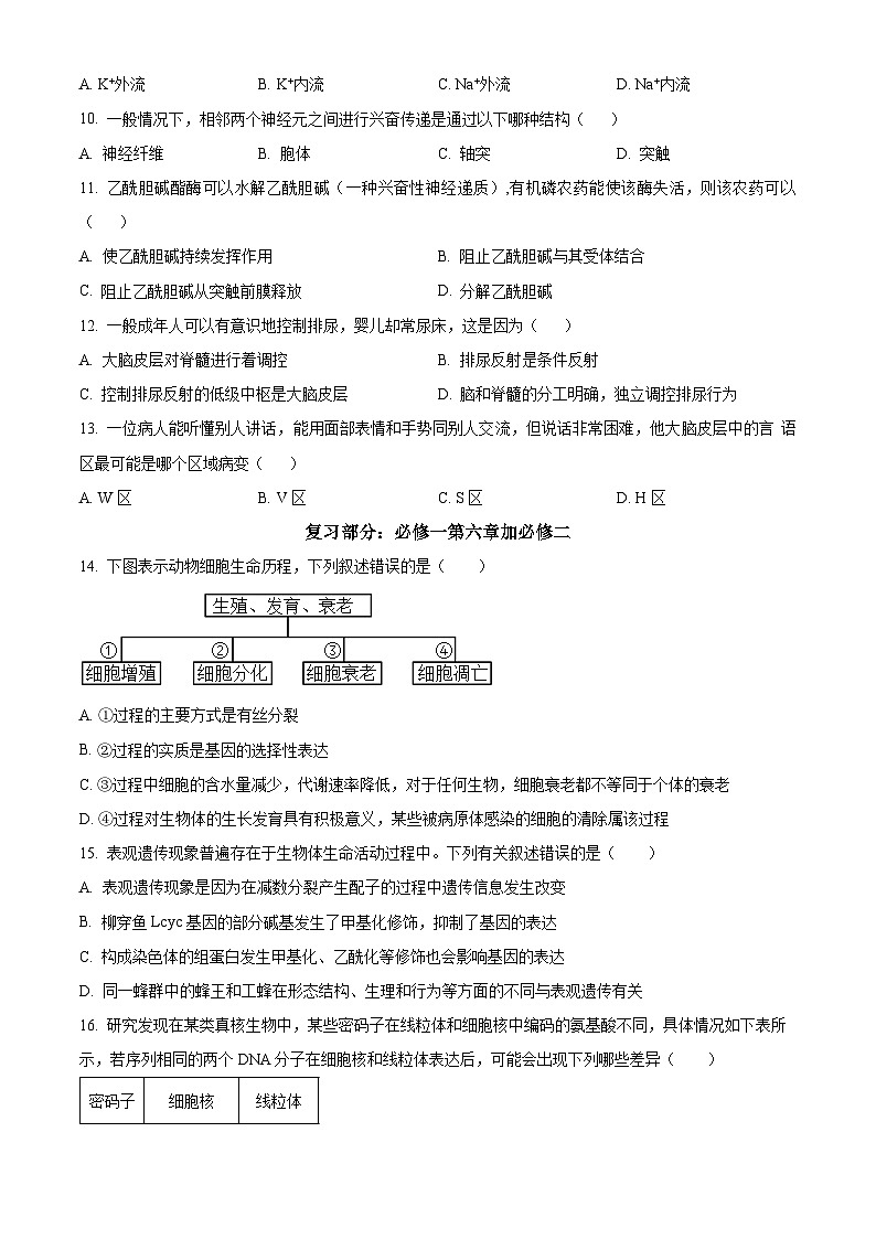 四川省自貢市第一中學(xué)校2024-2025學(xué)年高二上學(xué)期開學(xué)考試生物試題（原卷版）第2頁