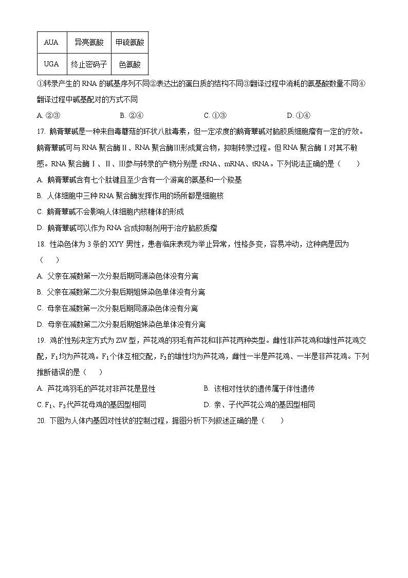 四川省自貢市第一中學(xué)校2024-2025學(xué)年高二上學(xué)期開學(xué)考試生物試題（原卷版）第3頁