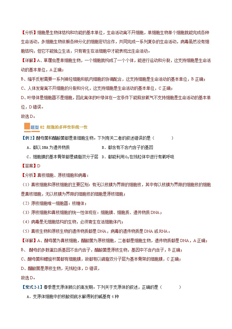 专题01 细胞的概述及其组成分子(11大题型)-2025年高考生物一轮复习题型冲关讲义(新高考通用)03