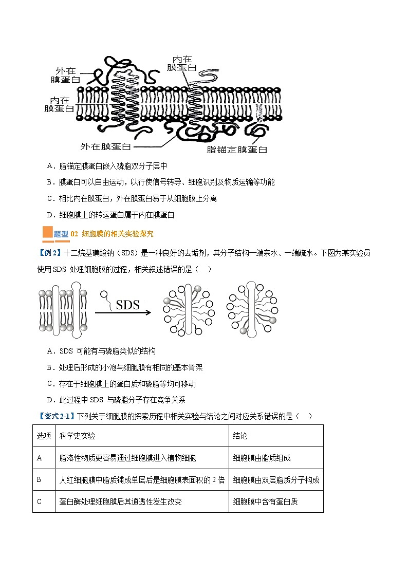 专题02 细胞的基本结构(9大题型)-2025年高考生物一轮复习题型冲关讲义(新高考通用)02