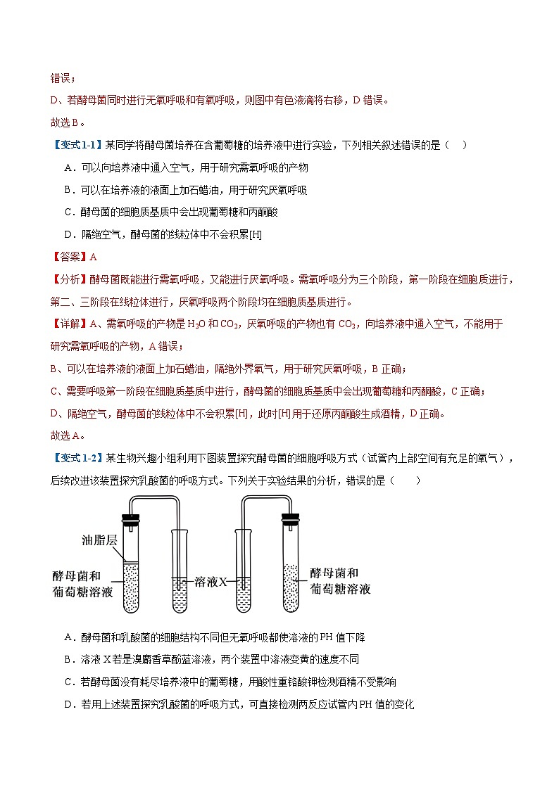 专题04 细胞呼吸(4大题型)(解析版)第2页