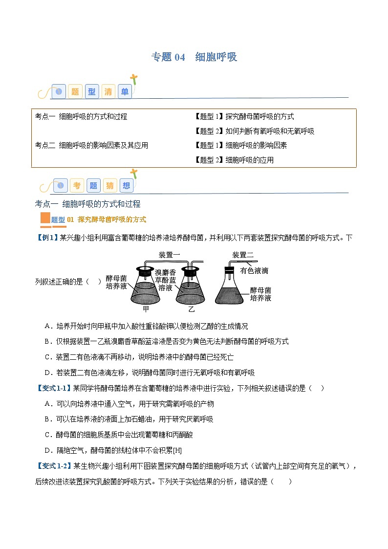 专题04 细胞呼吸(4大题型)(原卷版)第1页
